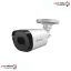 Briton-UVC83B19B-CCTV-Camera
