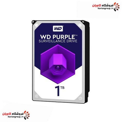 Western-Digital-Purple-1TB-Internal-Hard-Drive