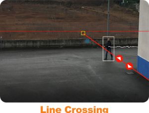 Line Crossing - دوربین بولت تحت شبکه IPC7Q261B48R-I